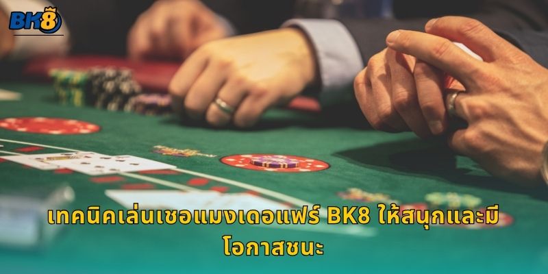 เชอแมงเดอแฟร์ สไตล์ยุโรป – สัมผัสเสน่ห์คลาสสิกที่ Bk8 3 เทคนิคเล่นเชอแมงเดอแฟร์ Bk8 ให้สนุกและมีโอกาสชนะ